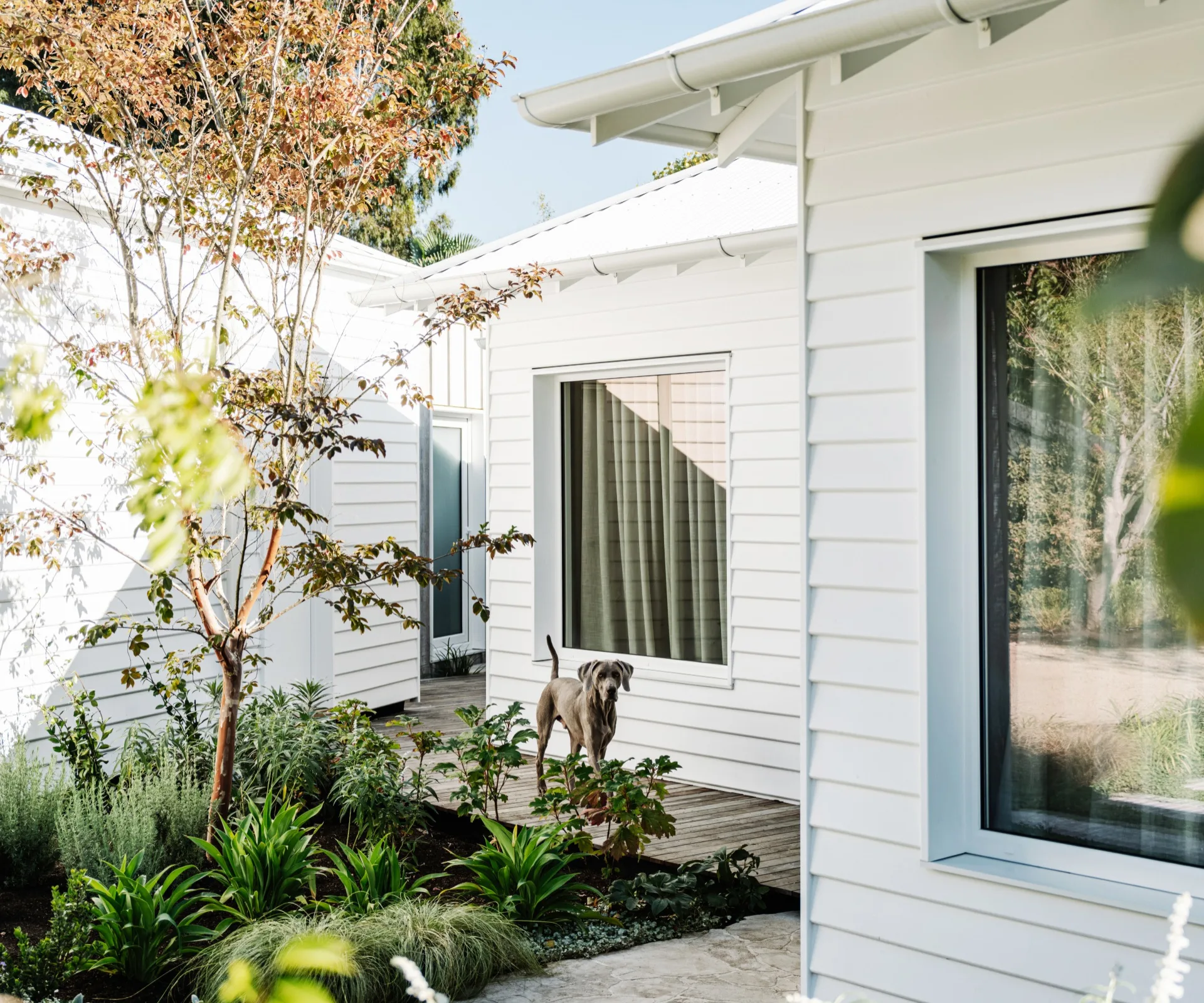 A Melbourne Weatherboard Infused With Passivhaus Design | Homes To Love
