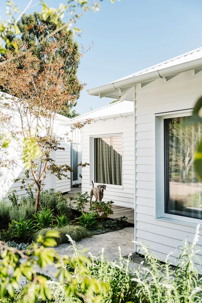A weatherboard home surrounded by gardens