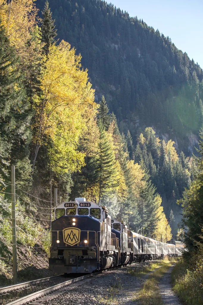 Train in steep valley with fir trees in Travel Canada Rocky Mountains