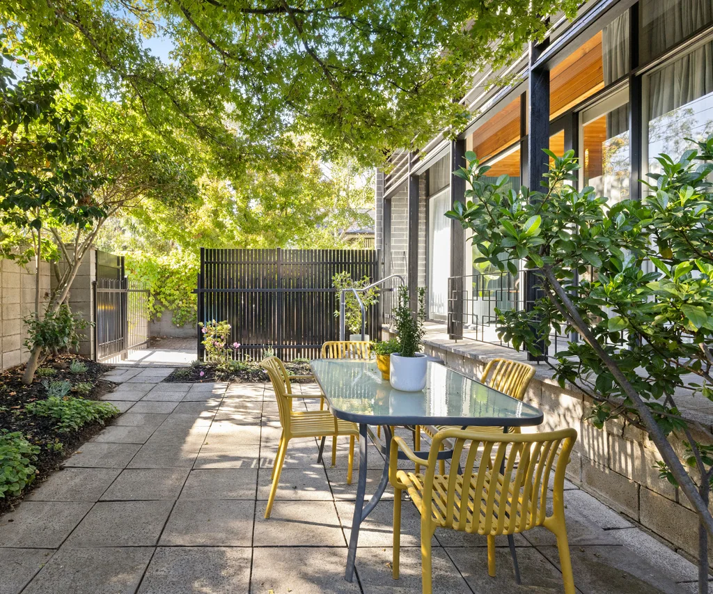 A leafy garden area in Hawthorn
