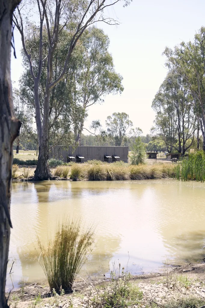 A lake on Bundarra Farm
