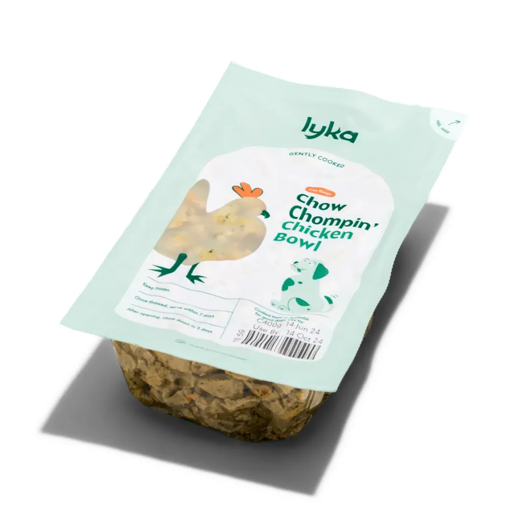 Lyka Dog Food Review: What Changed After One Box