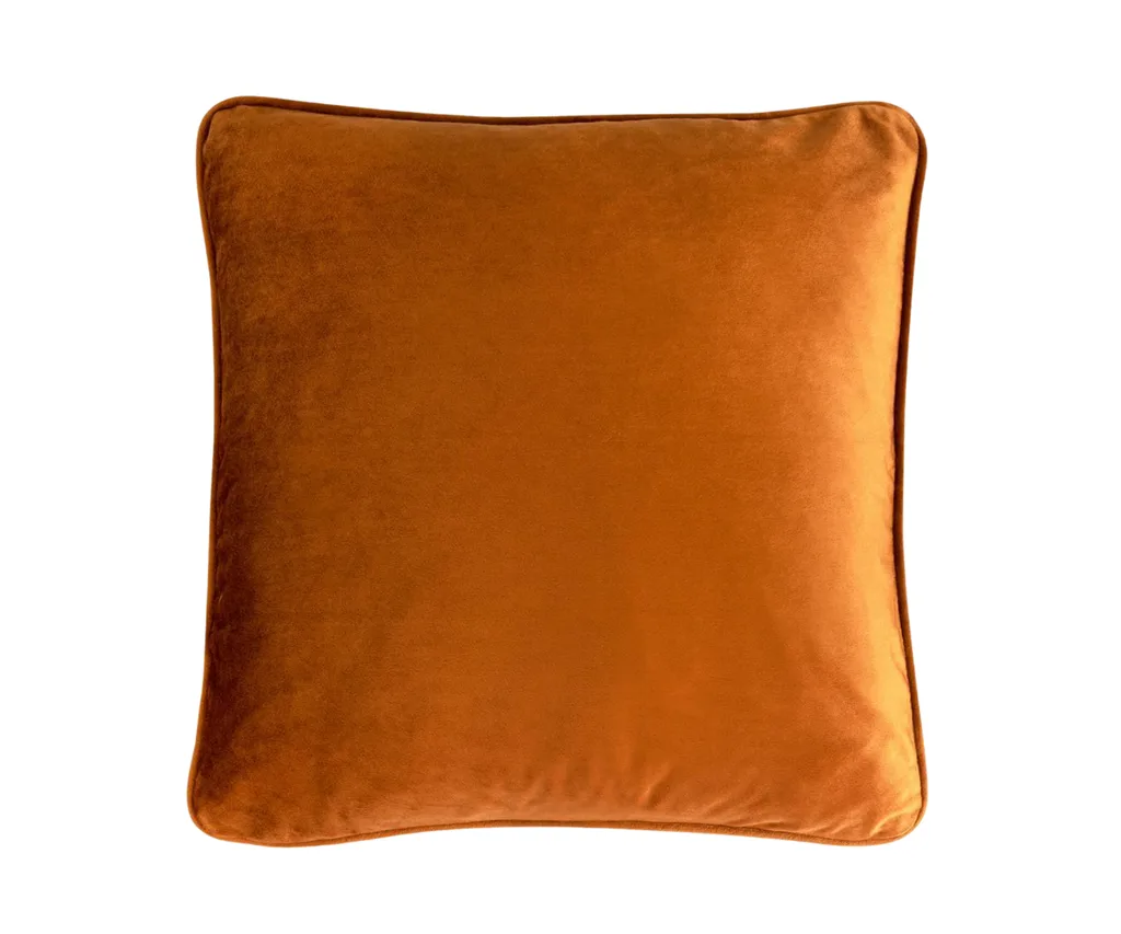 A velvet orange cushion