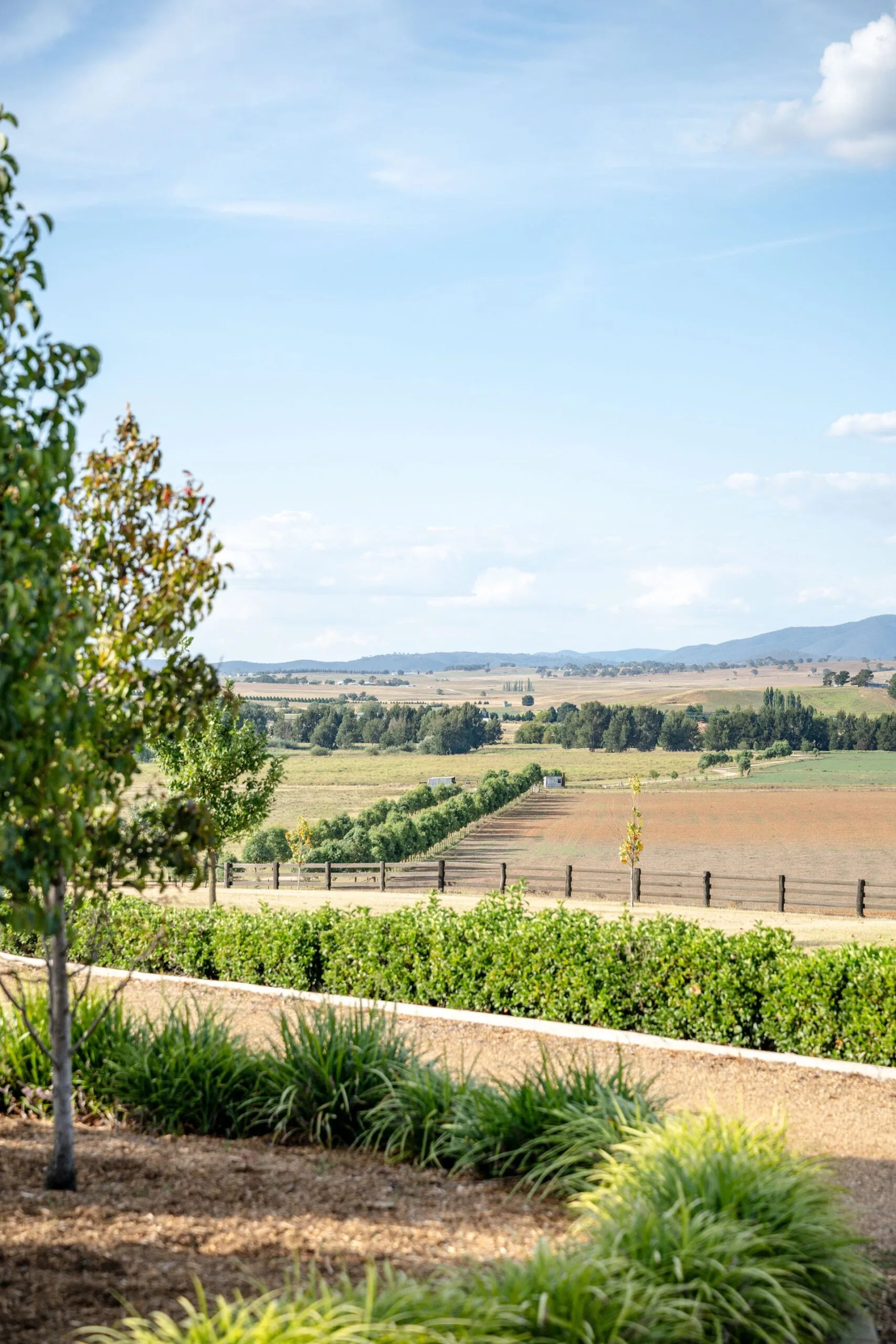 An idyllic countryside view of Macquarie Farm