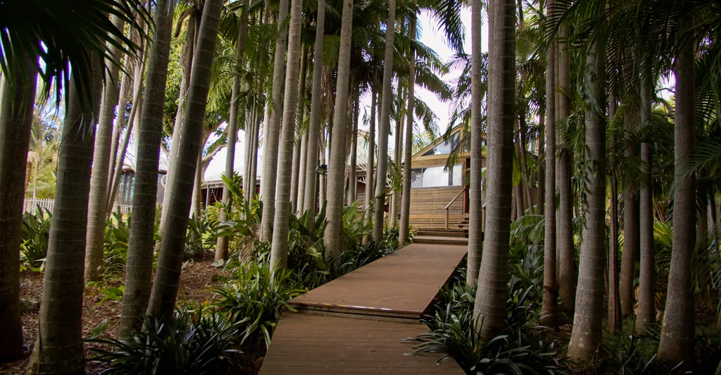 Tree walkway in Mark Bouris home, Belle Helena