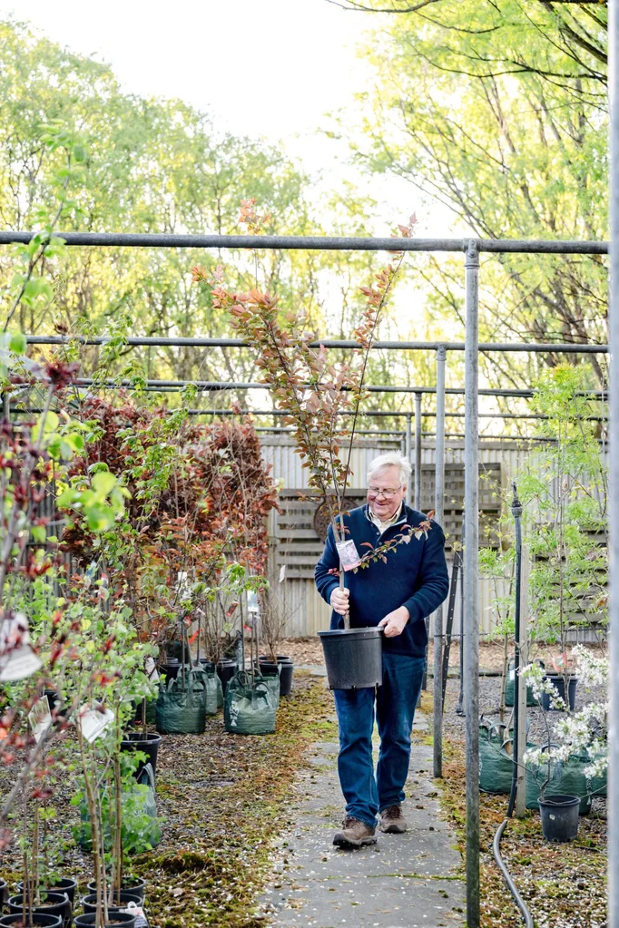 A man holding a potted tree