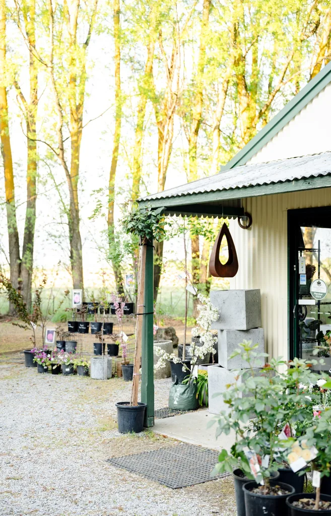 A shed-style store at a tree farm in Millthorpe