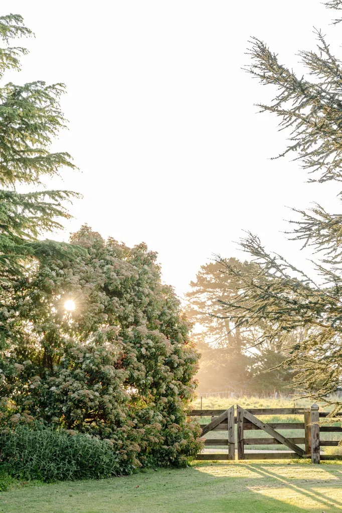 A wooden fence surrounded by trees