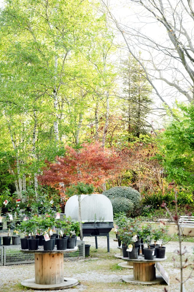 Potted plants stacked on shelves at a tree farm in Millthorpe