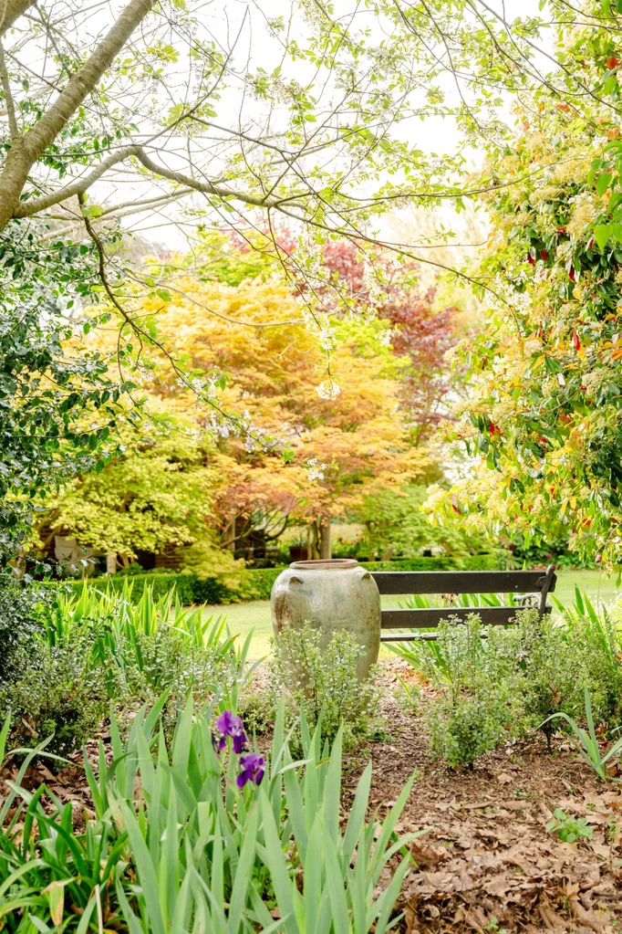 A bench in a lush, autumnal garden