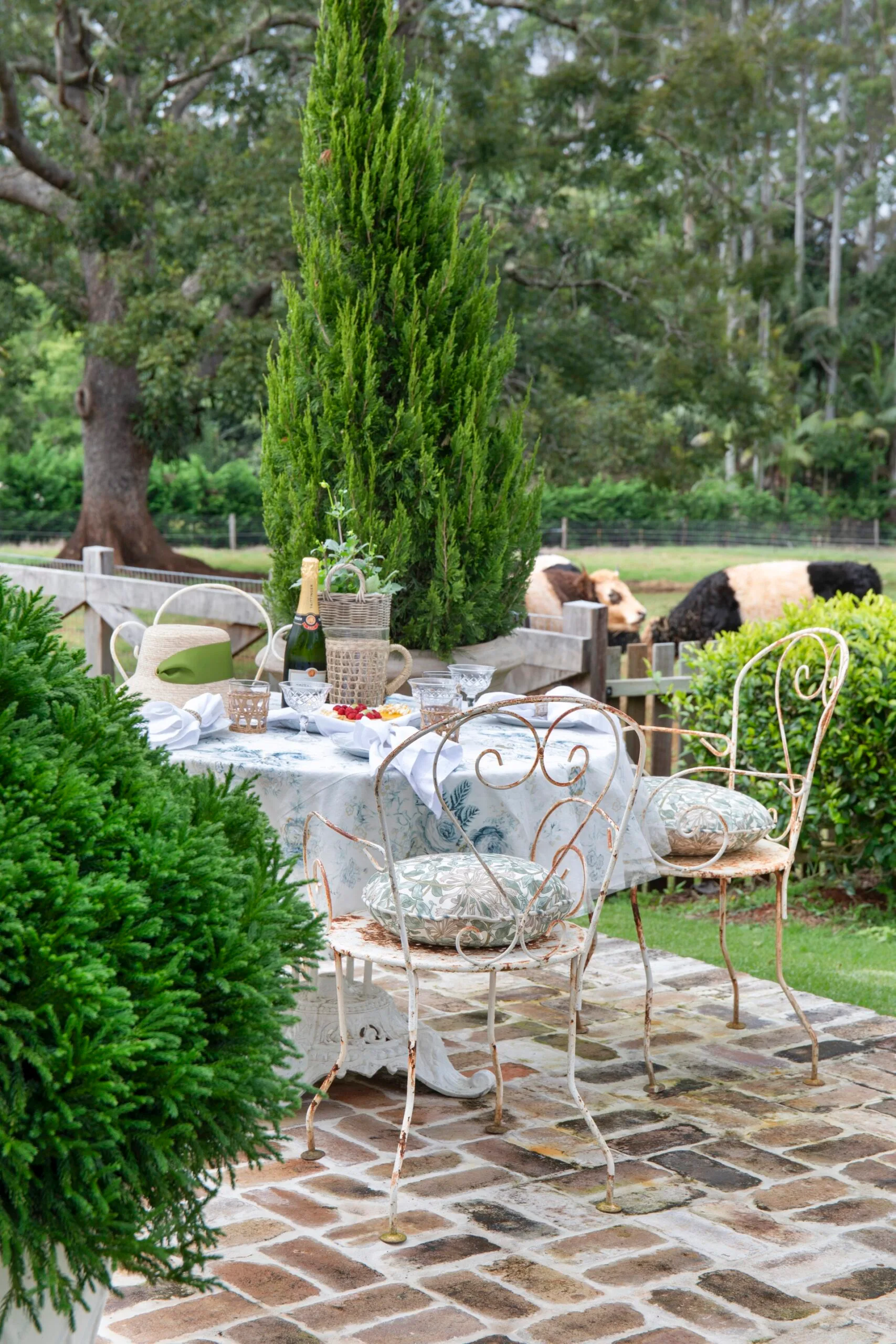Mt Tamborine paved garden with antique garden chairs and table, looking over a paddock with cows