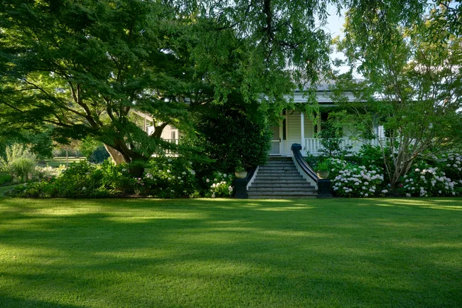 Collette Dinnigan house and garden