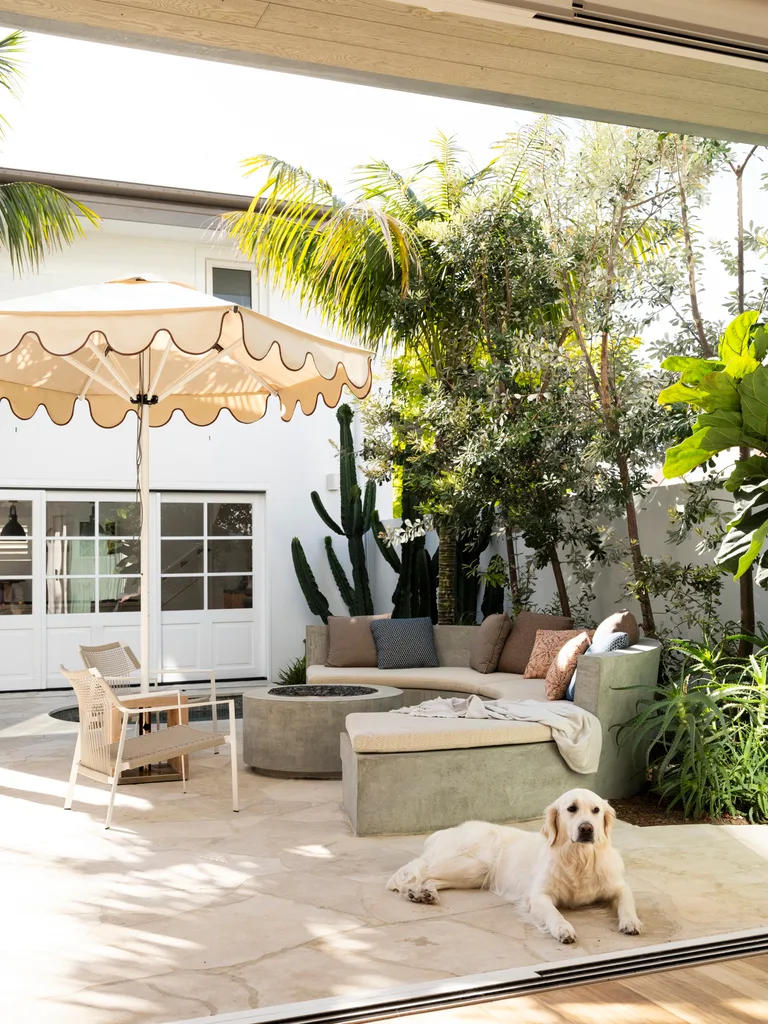 A dog in a small backyard