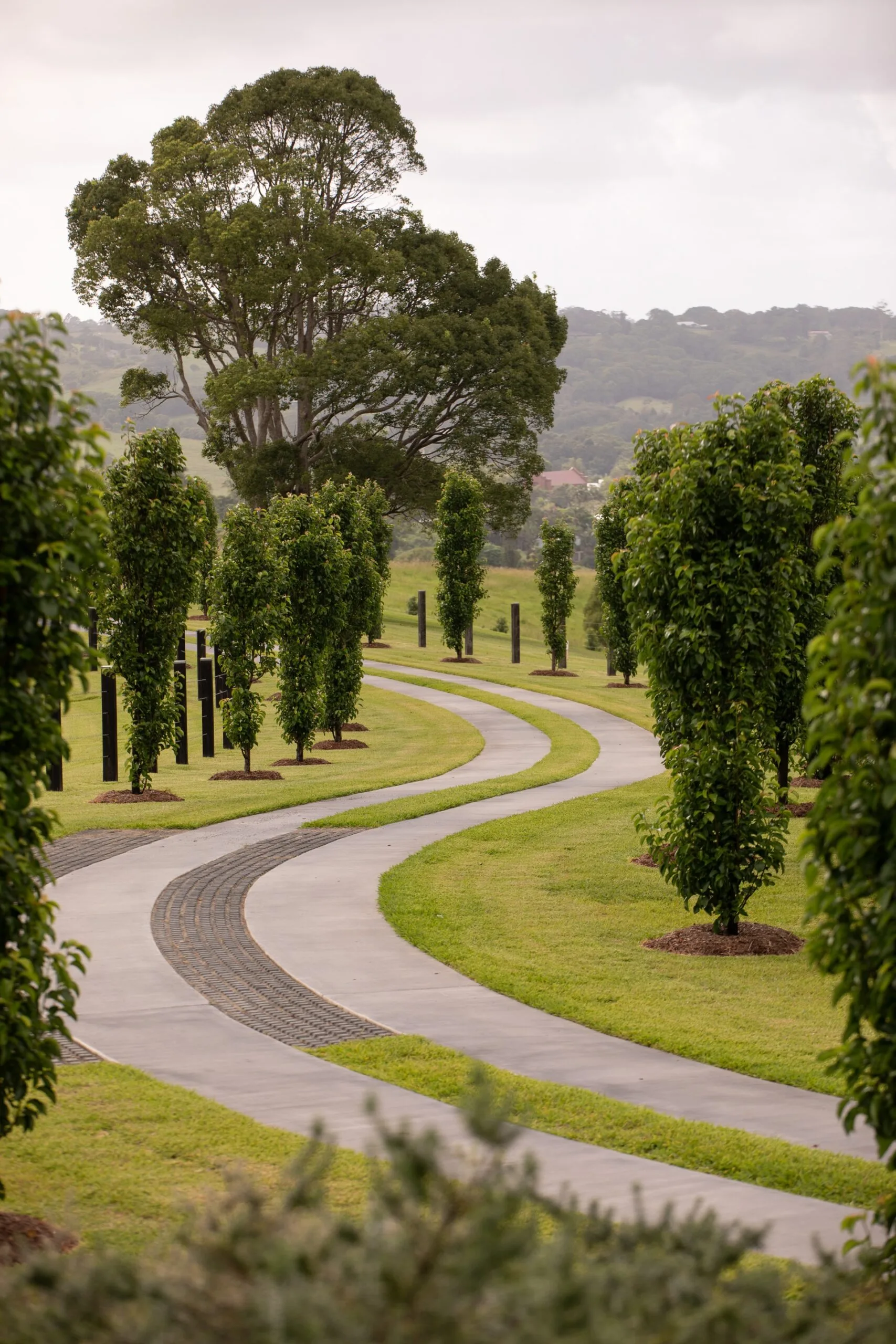 A winding driveway in Bangalow