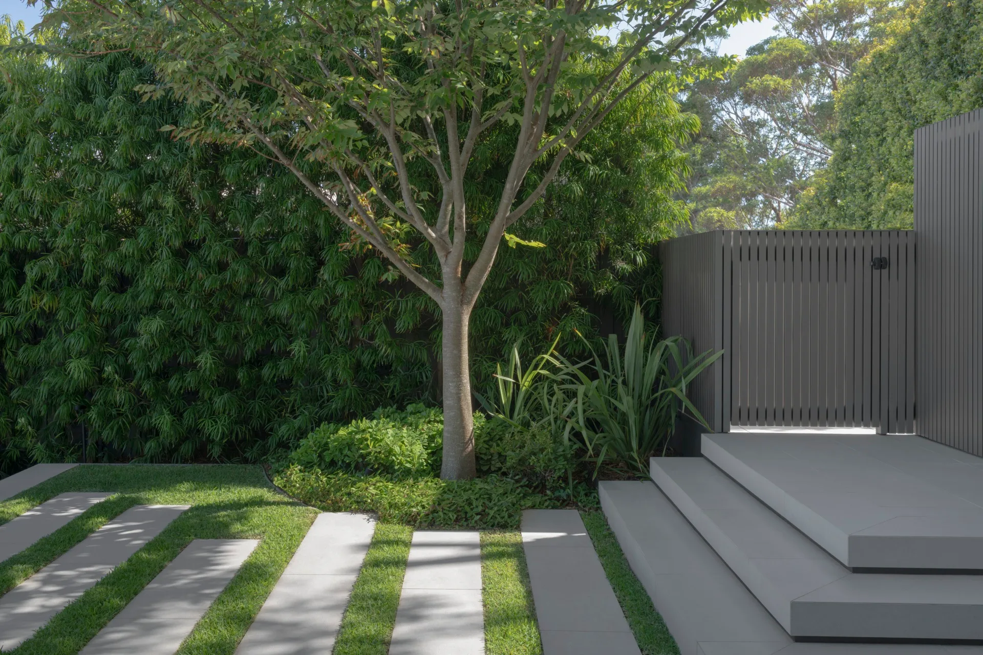 Cantilevered concrete steps lead to steppers