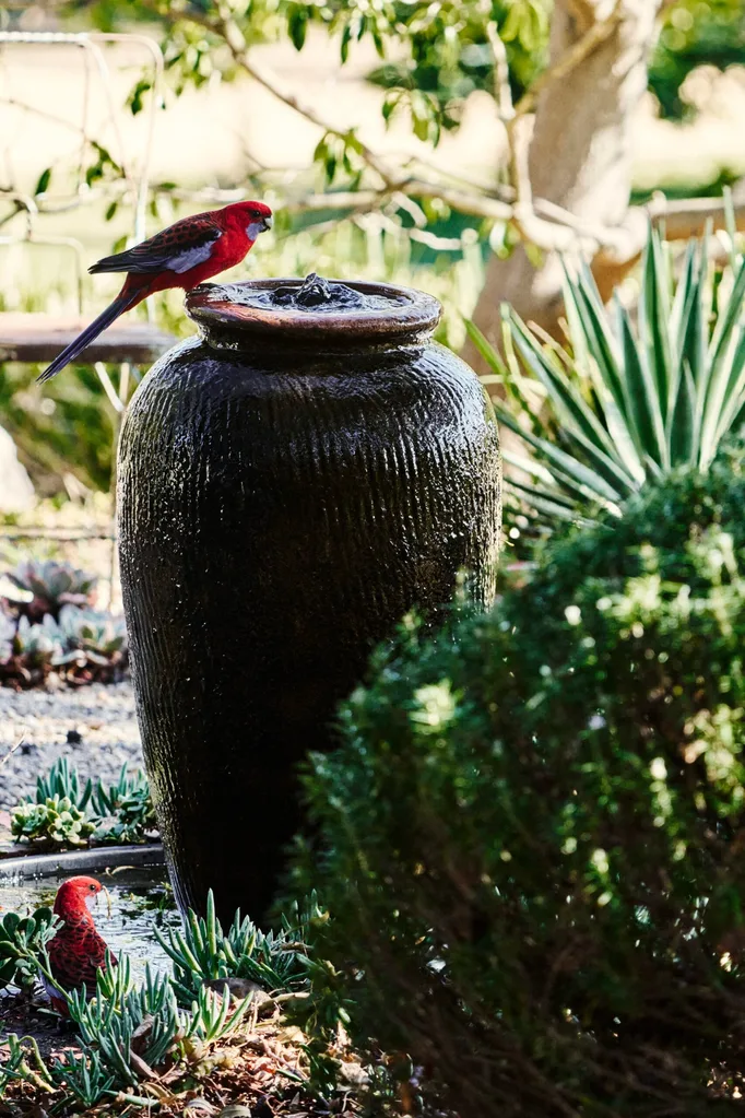 A red bird perched upon a water feature in a garden