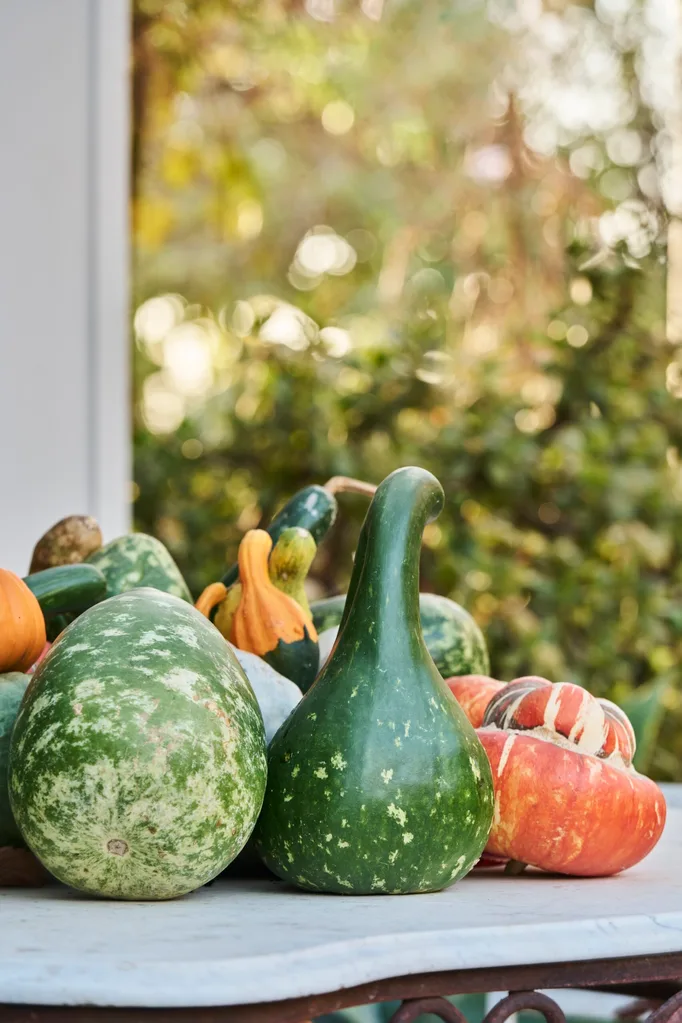 A selection of homegrown veggies on a marble table