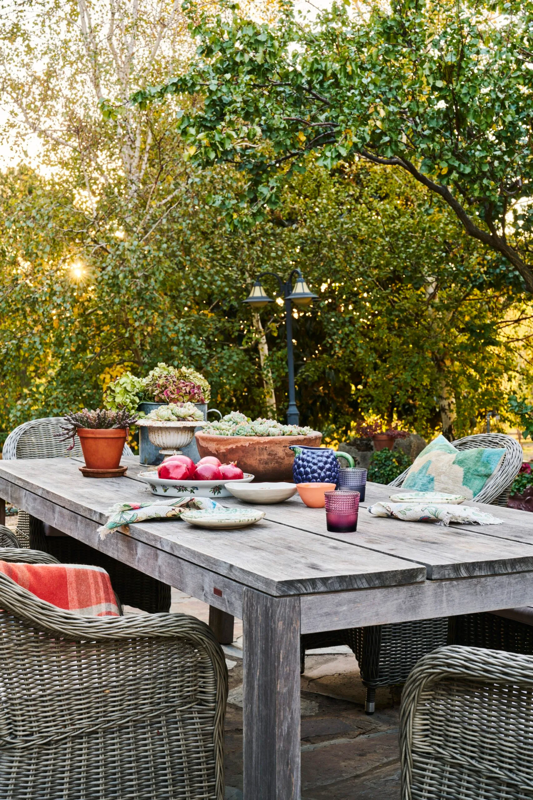 An outdoor dining table surrounded by trees