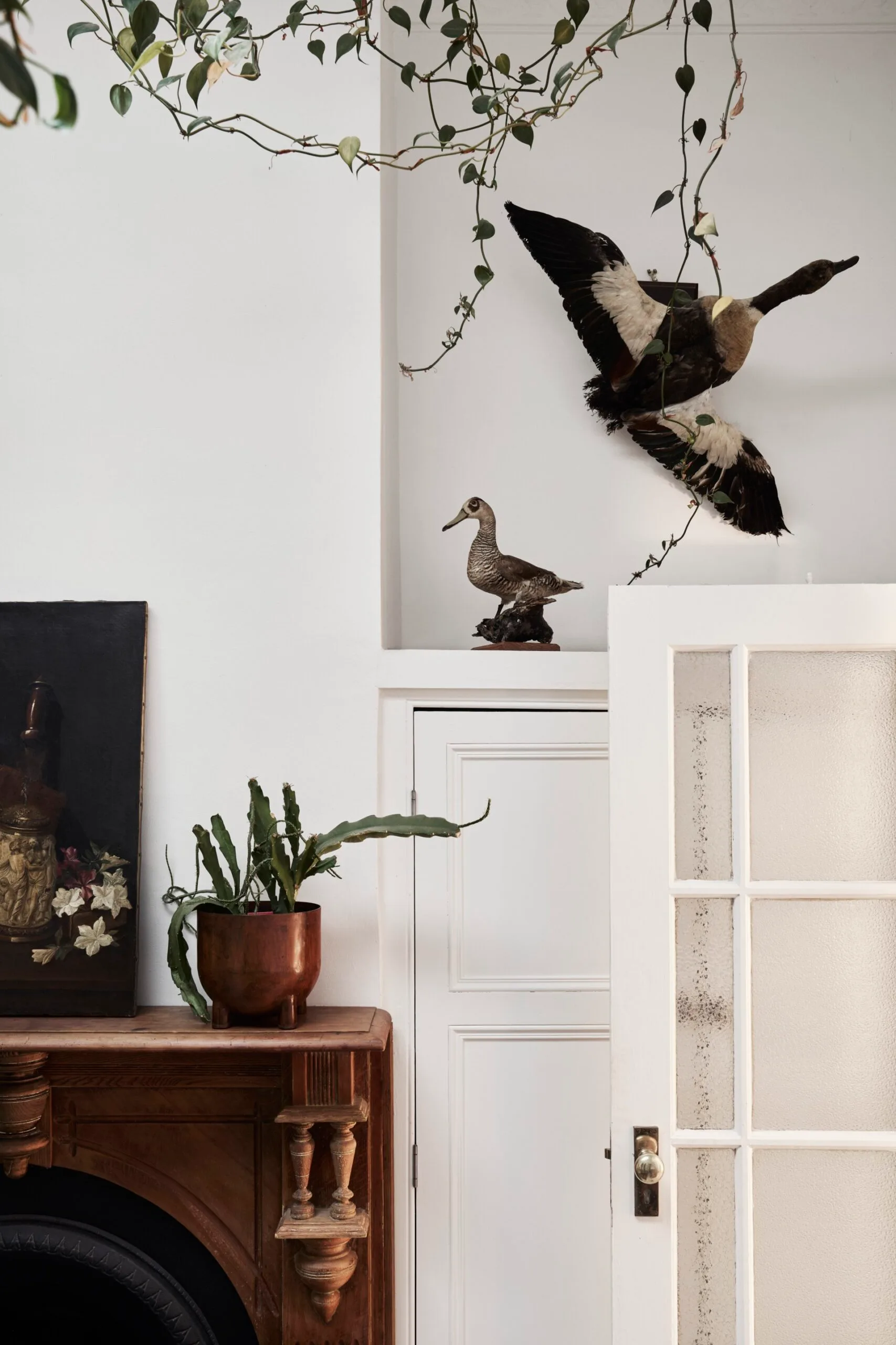 A timber mantel and a taxidermy bird mounted to the wall