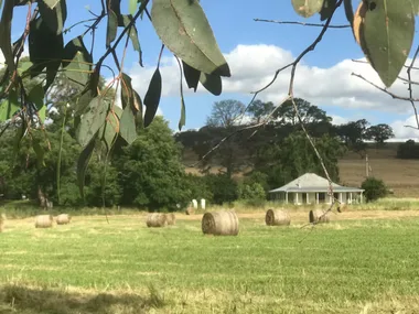 Old Convent Willow House airbnb in Borenore