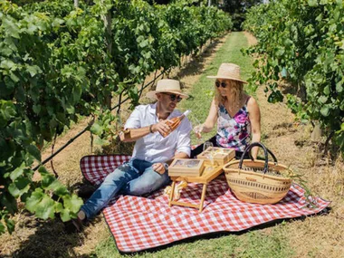Orange Winery Picnic with Guided Wine Tasting
