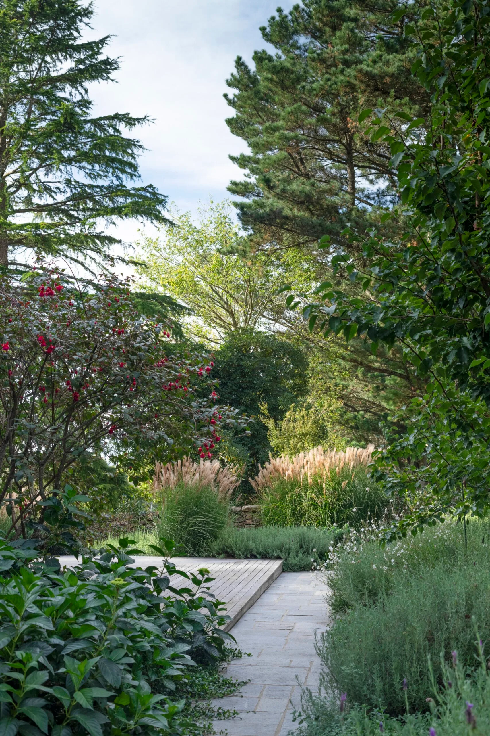 A garden with mature trees