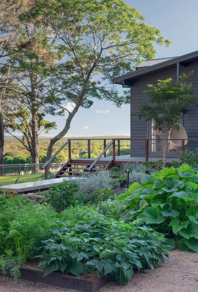A vegetable garden beside a weatherboard house
