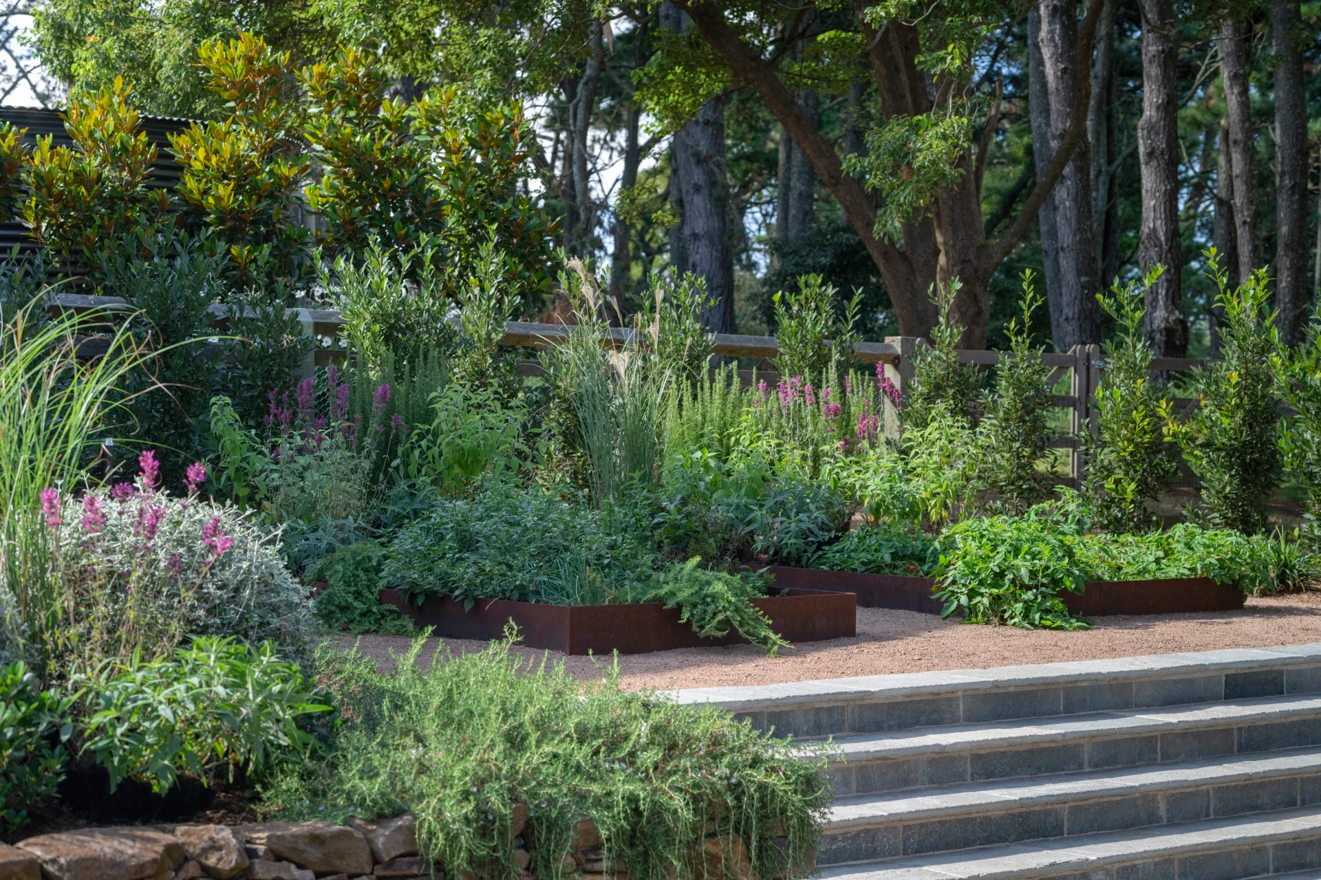 Stone steps leading up to a vegie patch surrounded by trees