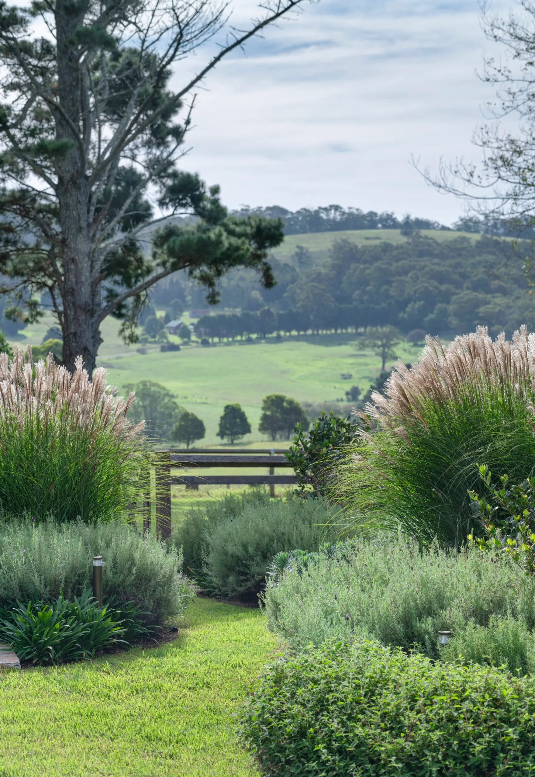 A garden overlooking rolling hills