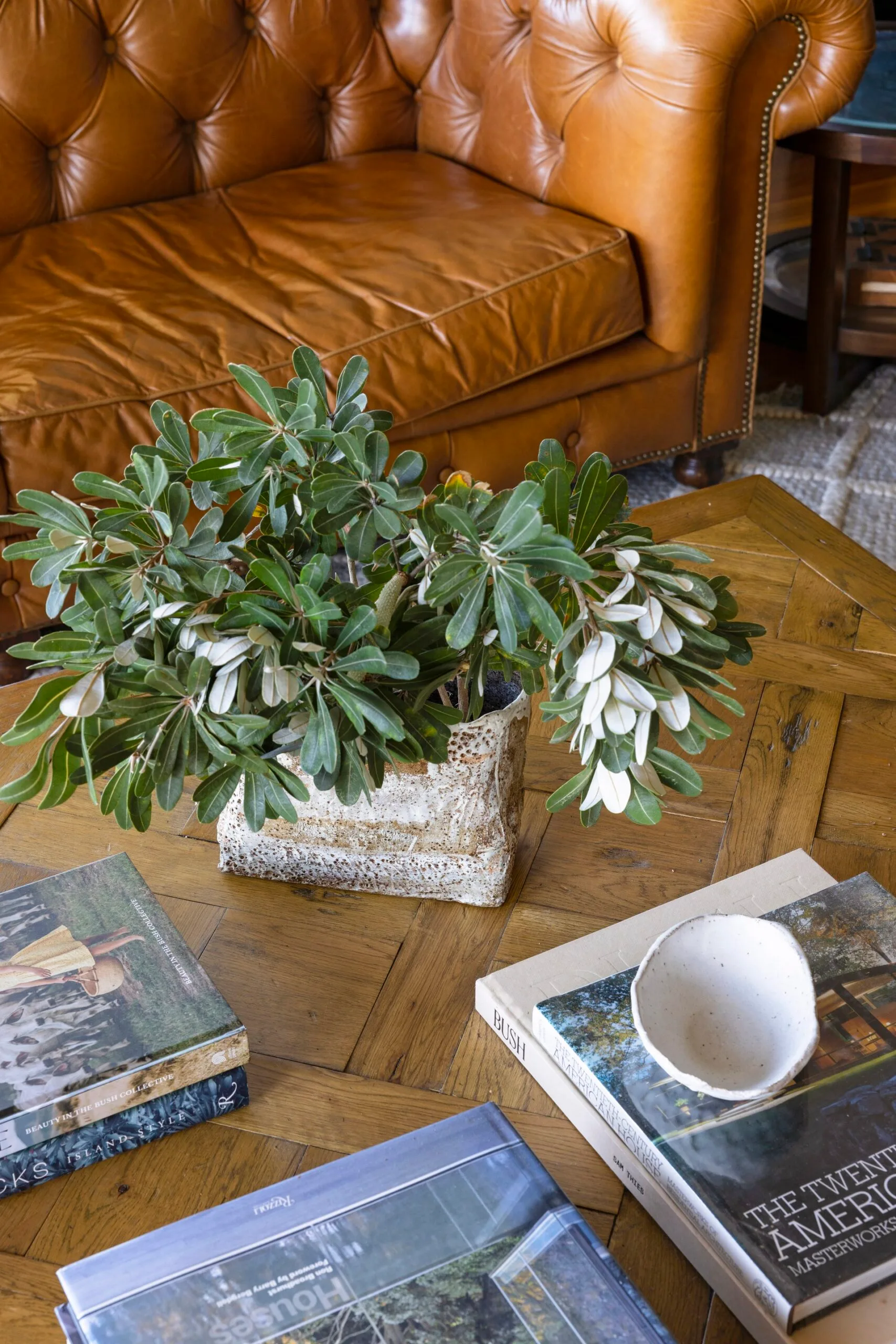 A coffee table is decorated with books and native foliage