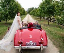 Bridge and groom with red MG