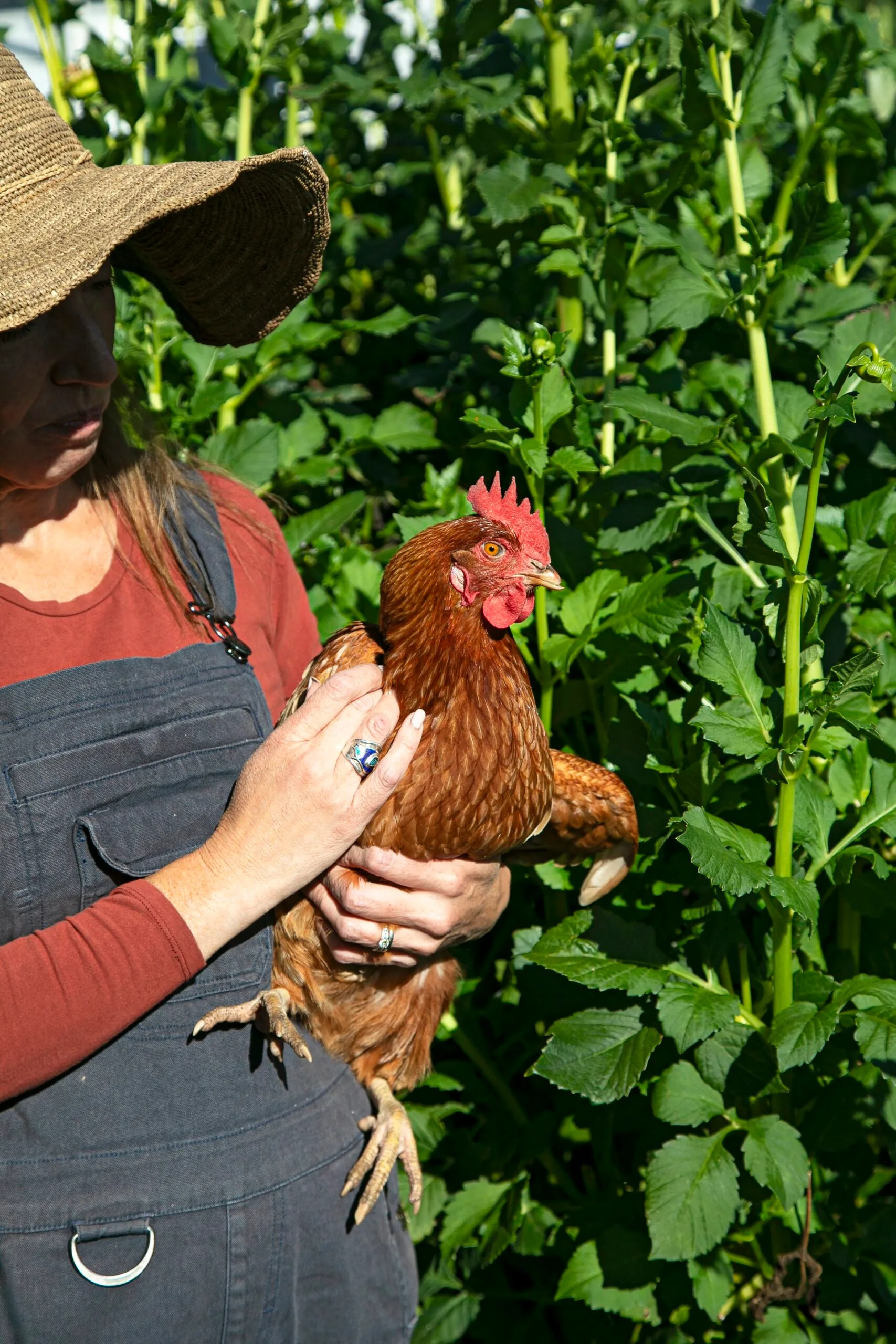 A woman cradling a chicken in her garden.