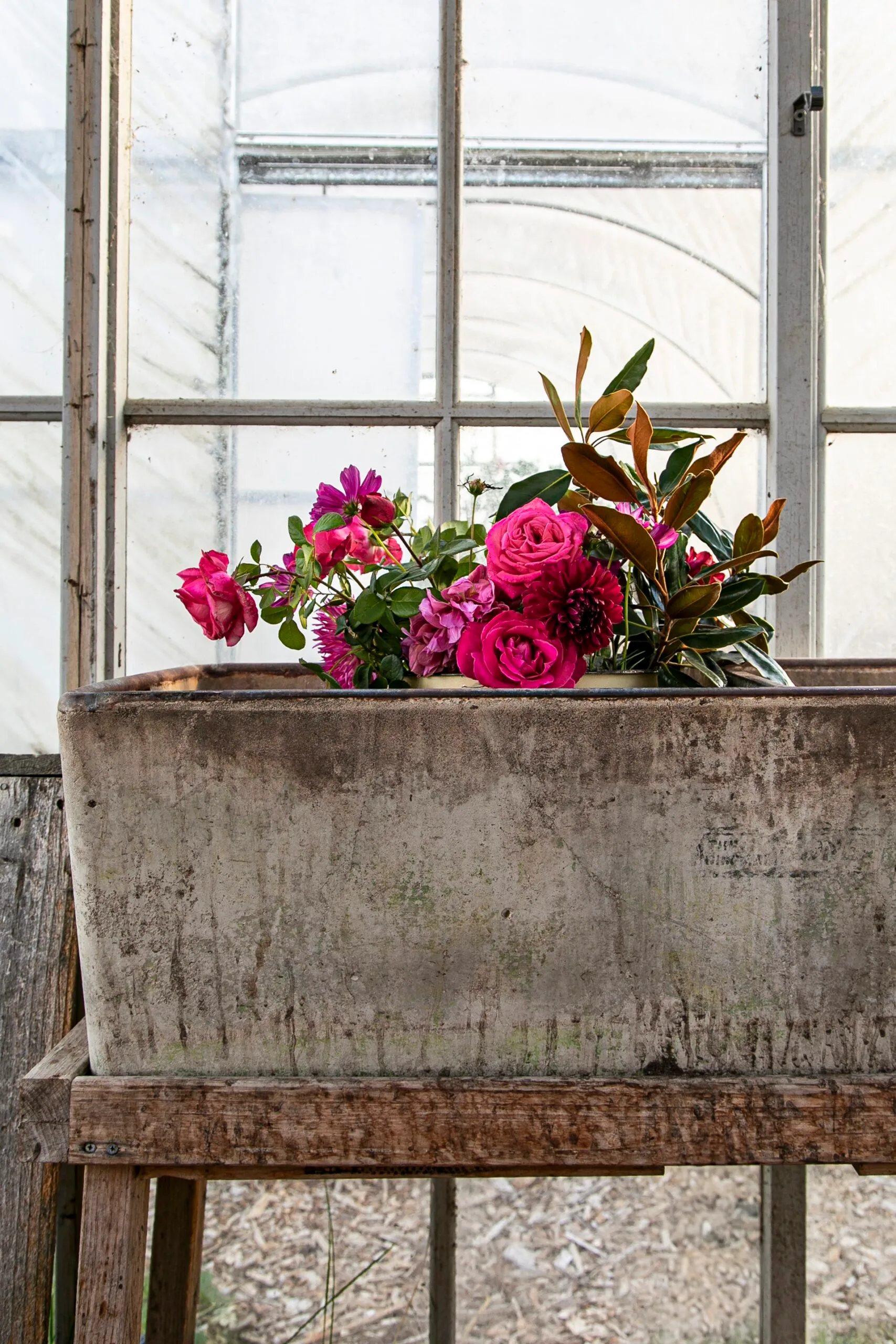 A concrete trough decorated with vibrant pink flowers.