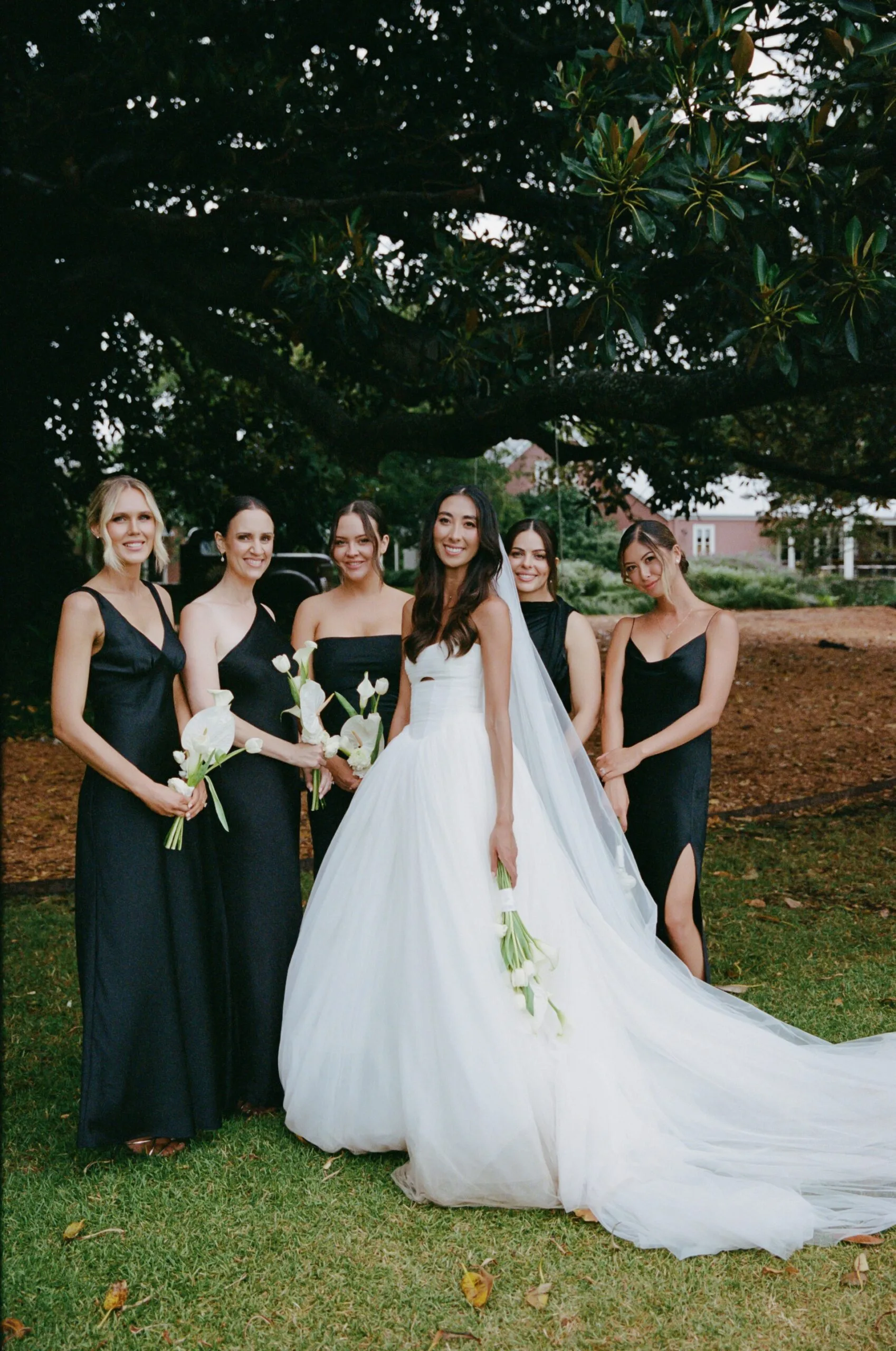 A bride in white with her five bridesmaids.