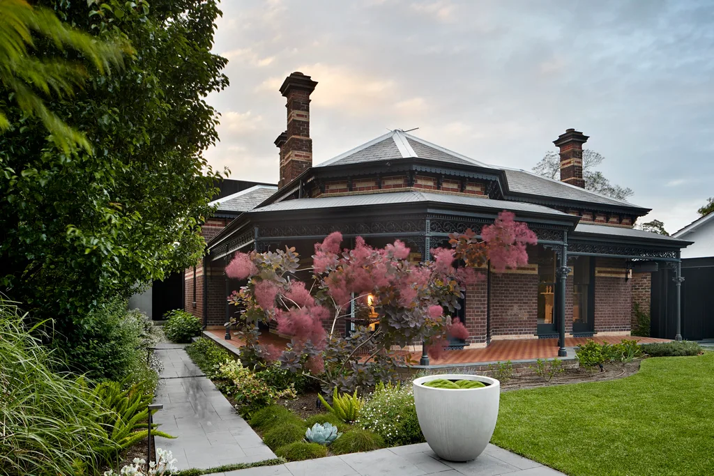 Flowering smoke bush in front of revitalised facade. Belle