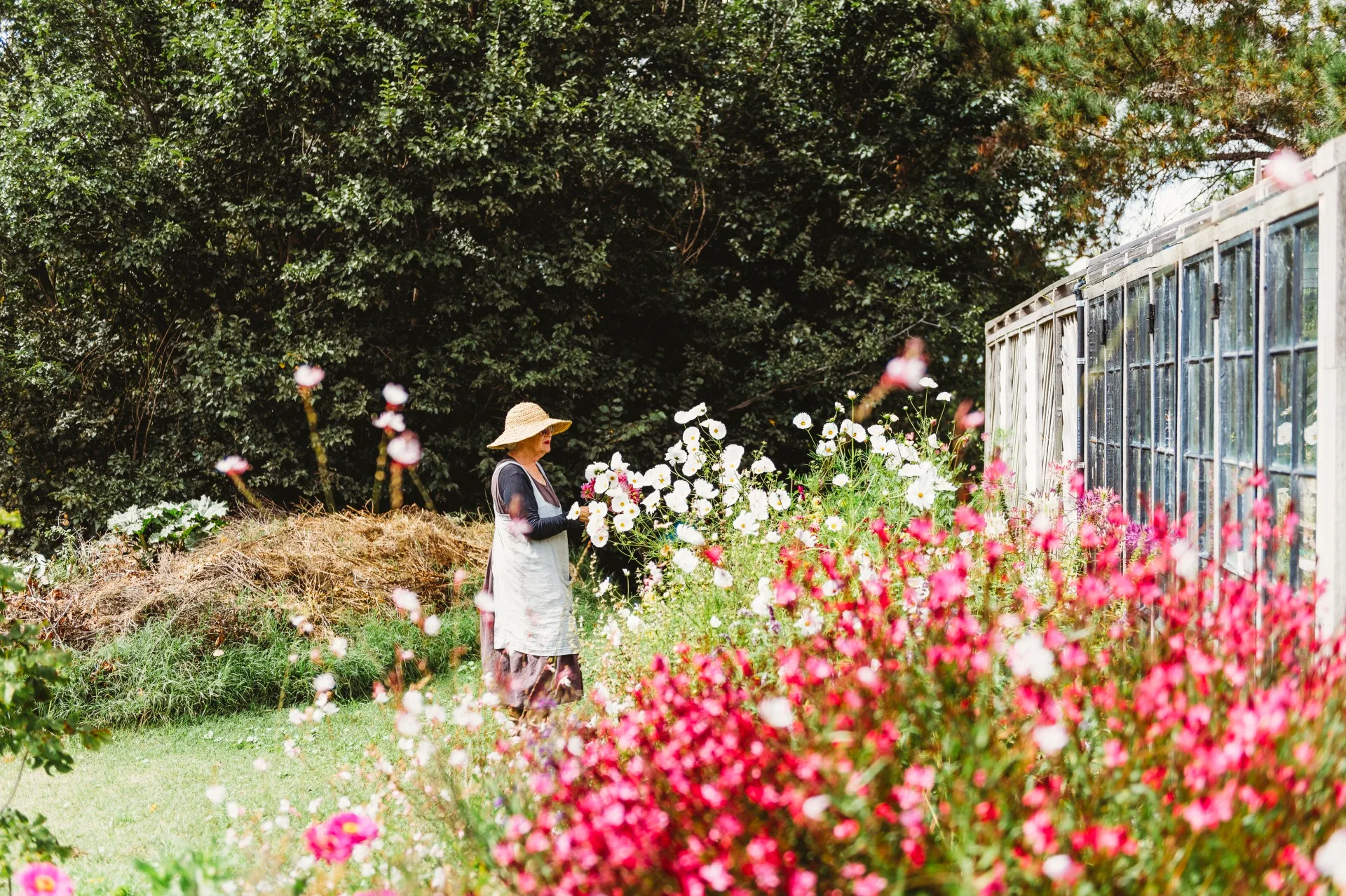 Suzy in her flower garden at Rainham