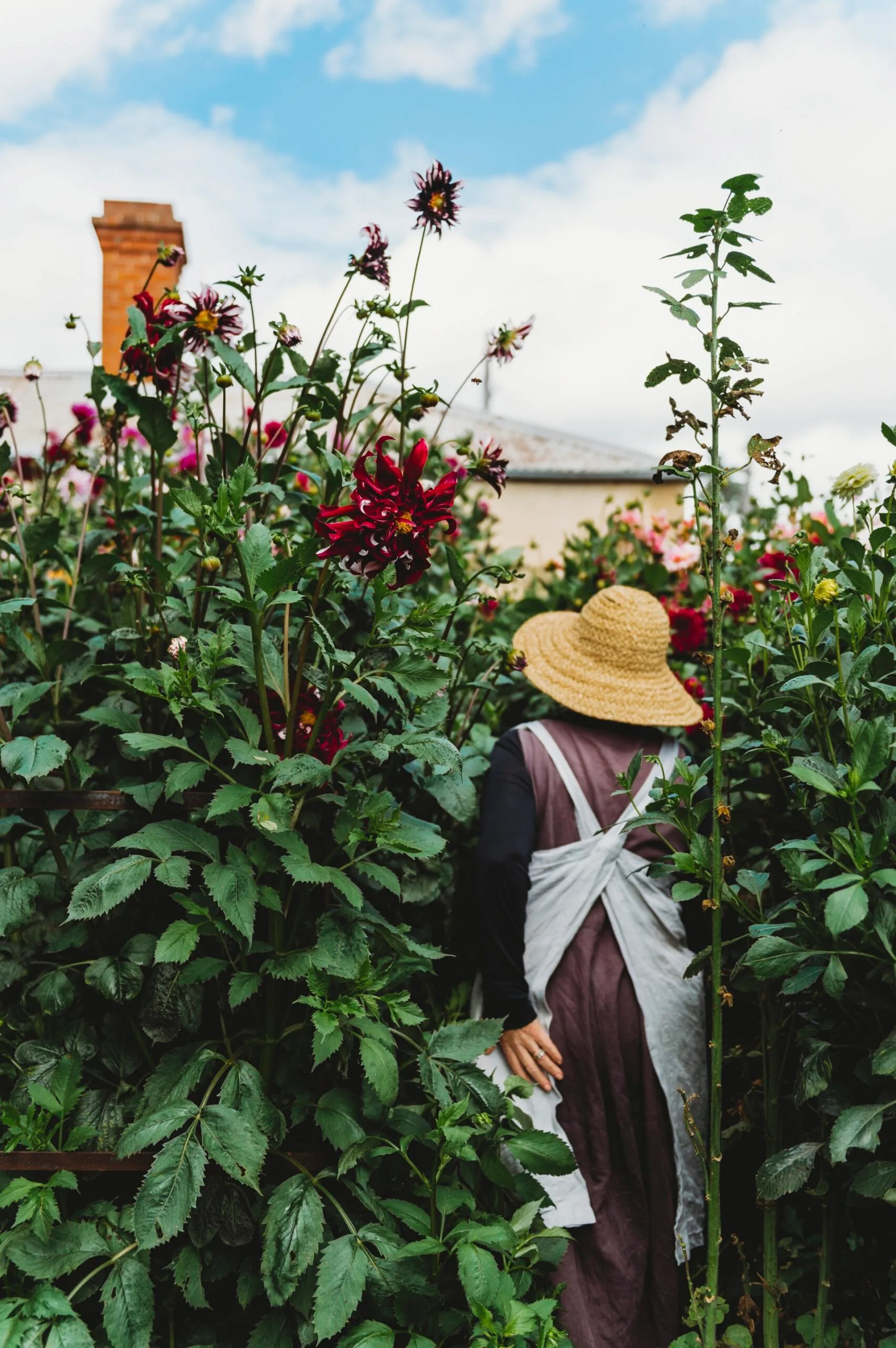 Suzy walking through her flourishing flower garden