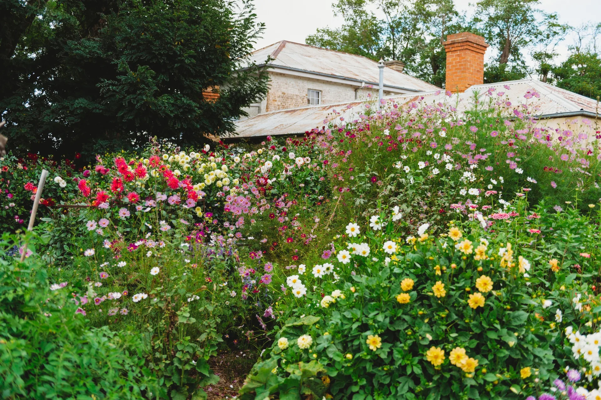 A flourishing garden full of pink, red and yellow flowers outside of historic manor, Rainham
