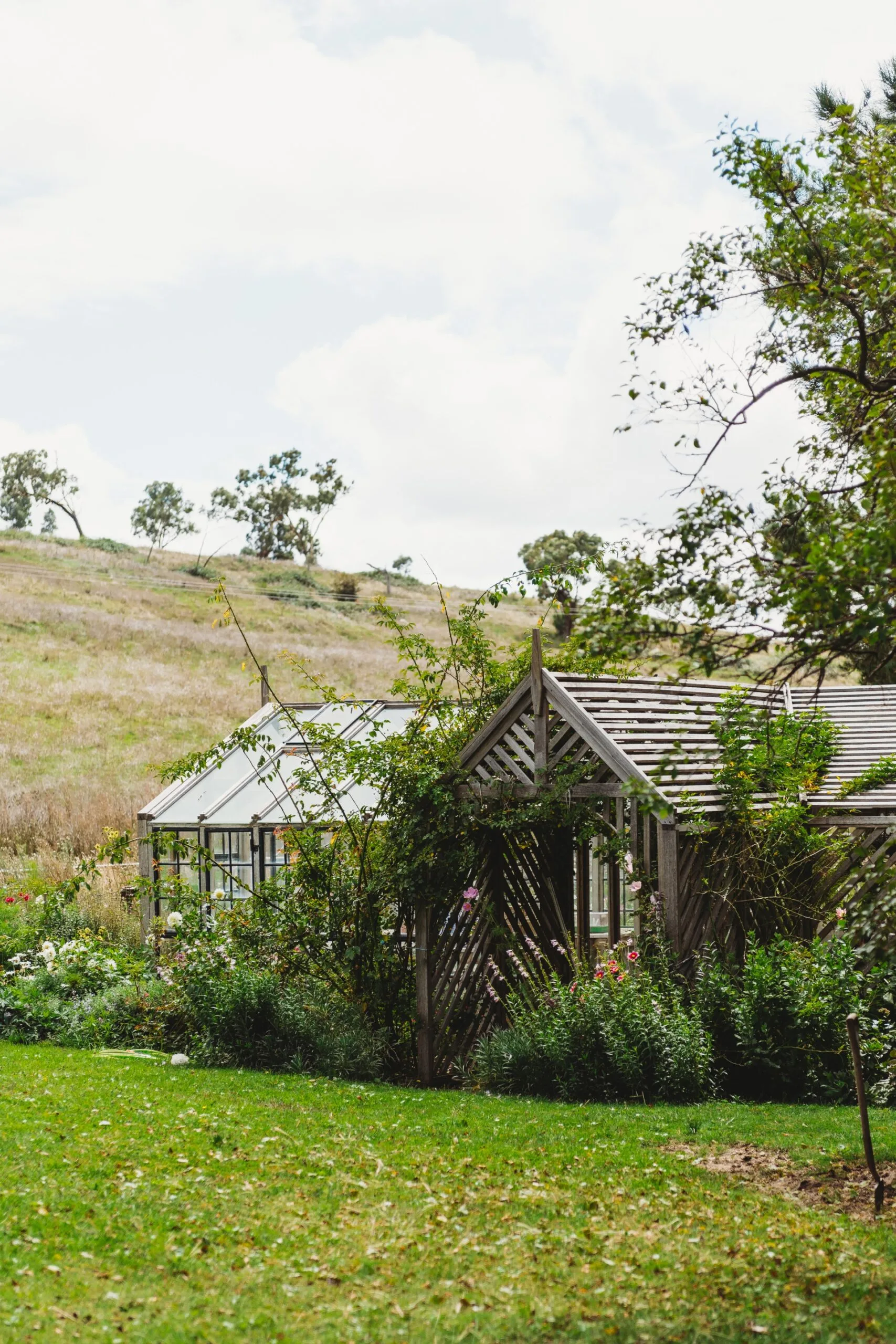 The greenhouse at Rainham in Bathurst