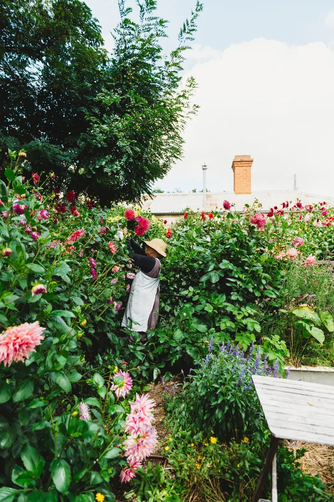 Suzy picking flowers at Rainham