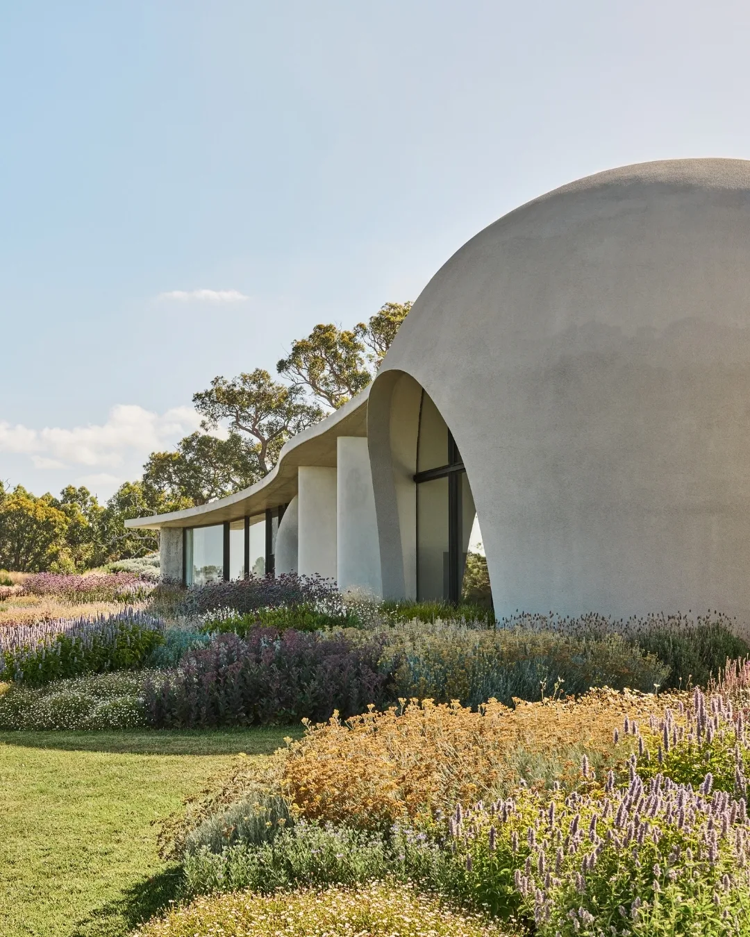 Curved modern building with large windows, surrounded by colourful flowering plants and greenery under a clear blue sky. 