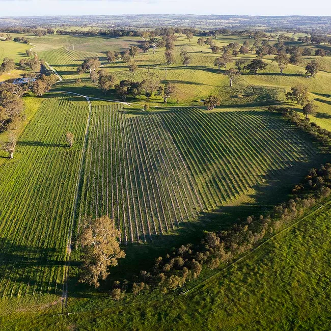 Eden Valley Henschke