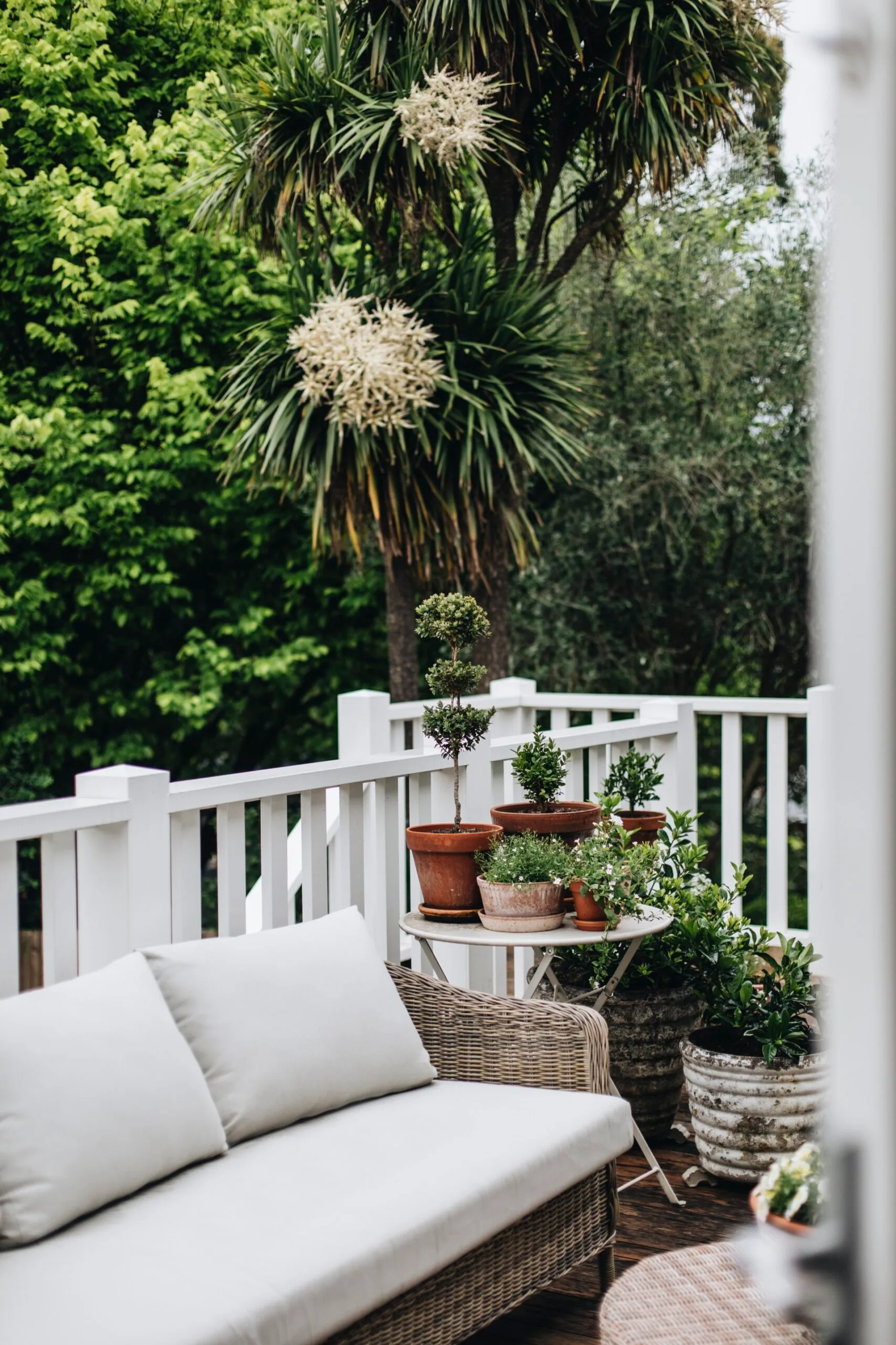 A deck area with potted plants and a rattan sofa