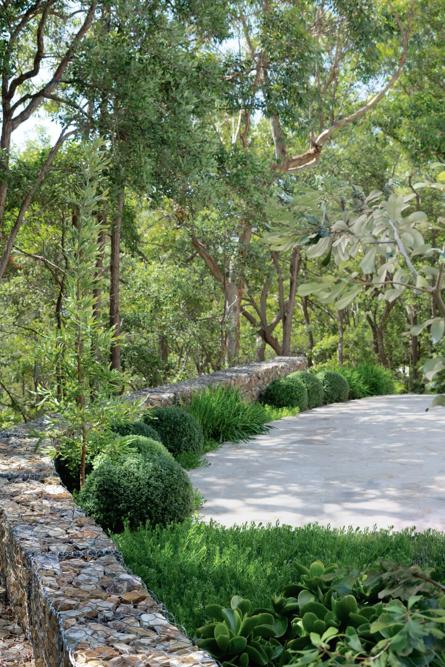 Avoca beach coastal garden patio