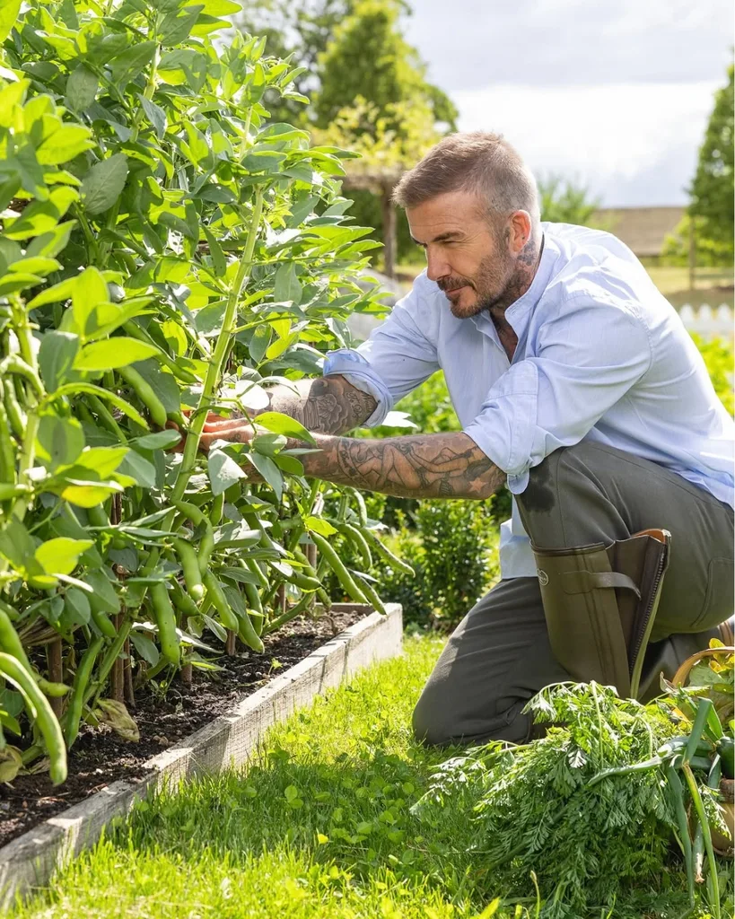 David Beckham kneeling in the garden