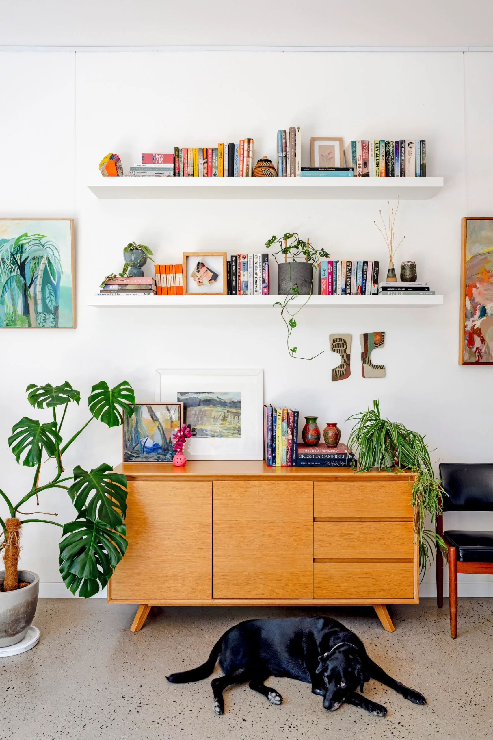 A living space with a timber sideboard, indoor plants and books. A dog sleeps on the floor.