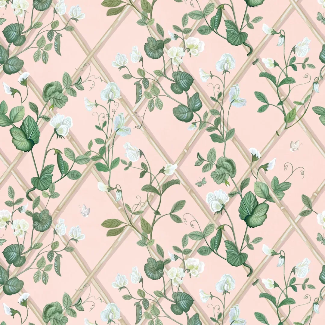 Petite Climbing Sweet Pea Wallpaper from Milton & King