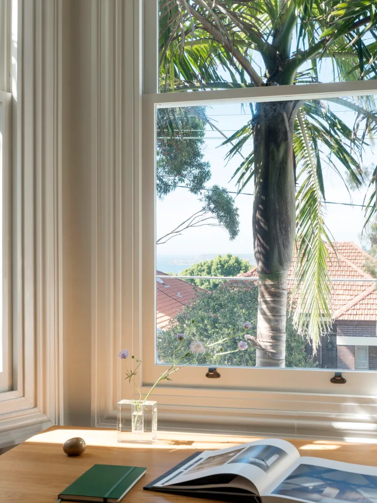 Palm tree from window