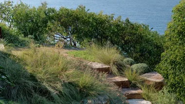 Coastal garden