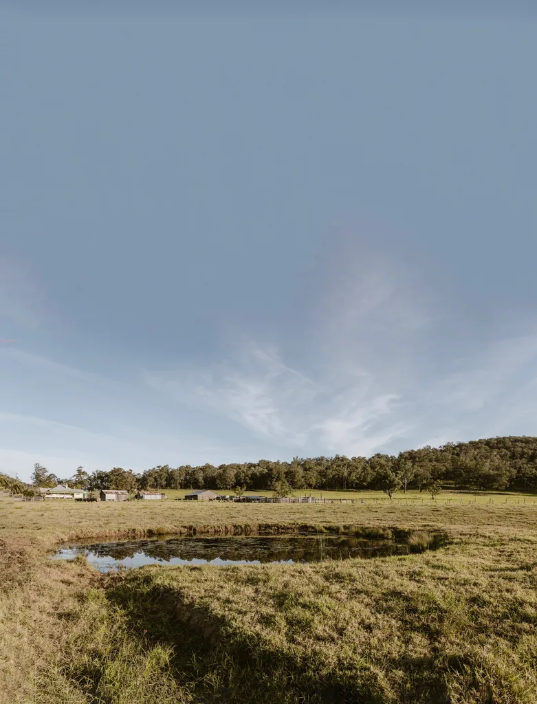 A dam in Millfield